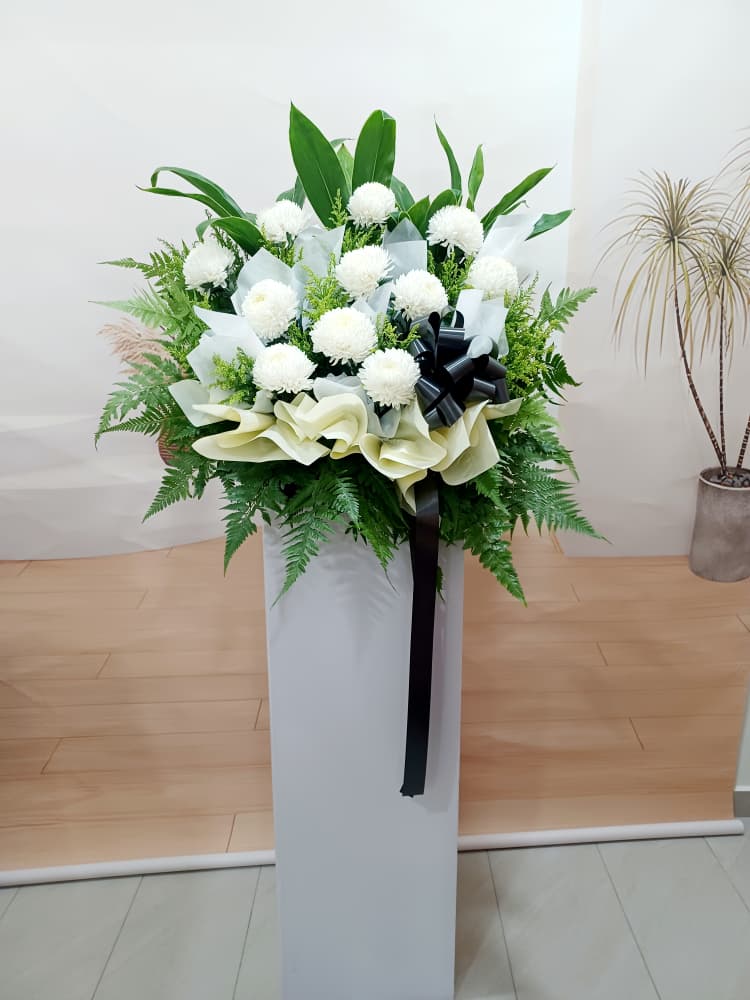 WhatsApp Image 2025-11-05 at 3.10.31 PM