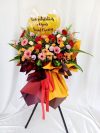 Opening Flower 2971