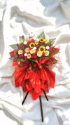 Opening Flower 2987