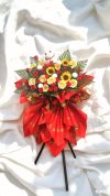 Opening Flower 2987