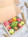 Fruit Box 3101