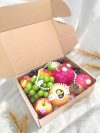 Fruit Box 3102